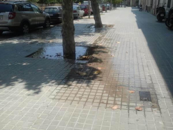 clavaguera.jpg