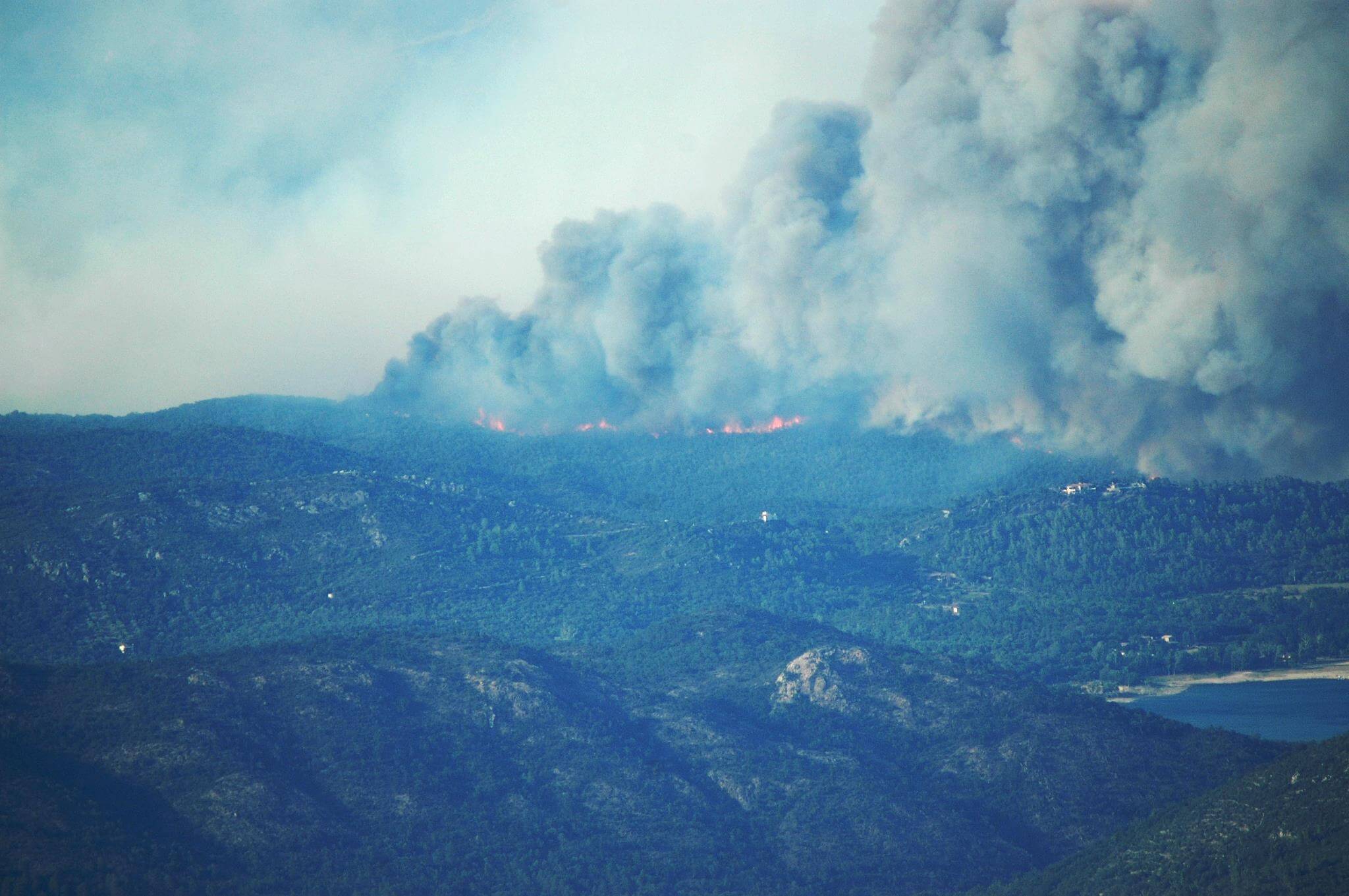 incendi-jonquera-laura-guardiola.jpg