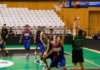 DSC_0313.JPG