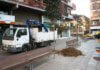 Plantació arbrat.JPG