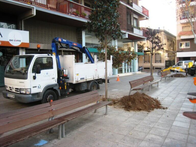 L’Ajuntament enceta una campanya per plantar 150 arbres nous
