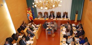 Ple ordinari gener.JPG