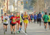 mara2013.jpg
