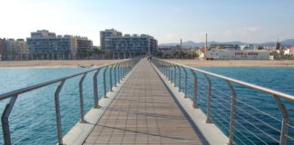 Pont del Petroli.JPG