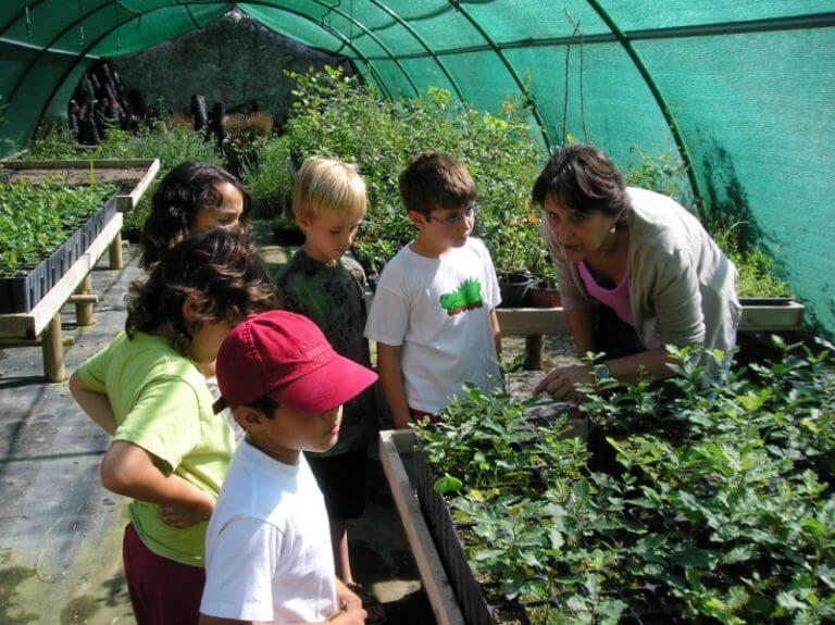 L’Ajuntament enceta els tallers d’educació ambiental per a escolars