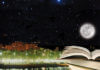 NEWSLETTER ESTUDIEM DE NITgener 2014 (AJB_MITJA).jpg