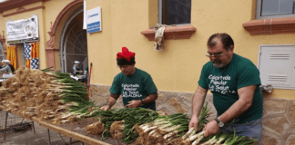 Calçotada La Salut 2013.png