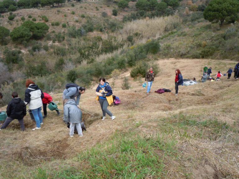 Badalona repoblarà aquest diumenge la Serralada de Marina