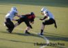 LNFA 2014 Dracs Pioners Serie A.jpg