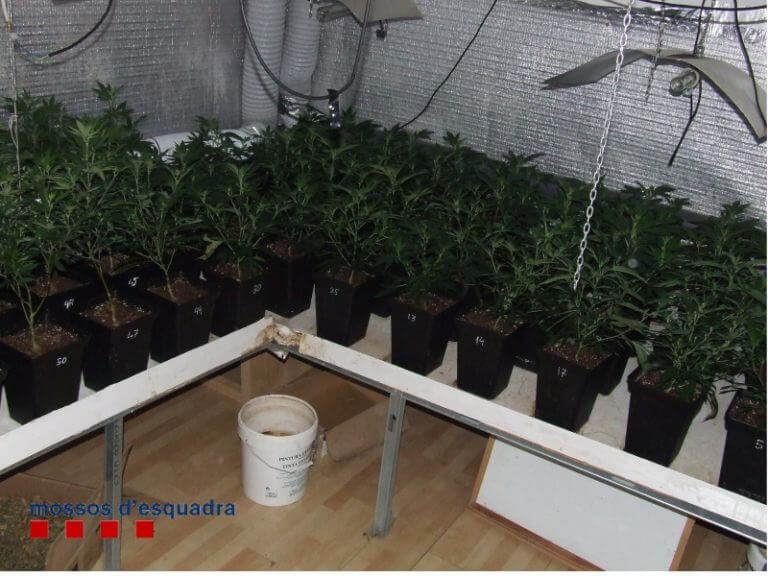 Un incendi descobreix una plantació interior de marihuana en un pis de Sant Crist