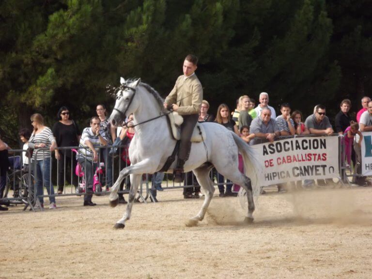 Milers de veïns gaudeixen de la IX Exhibició de Cavalls a Sant Crist