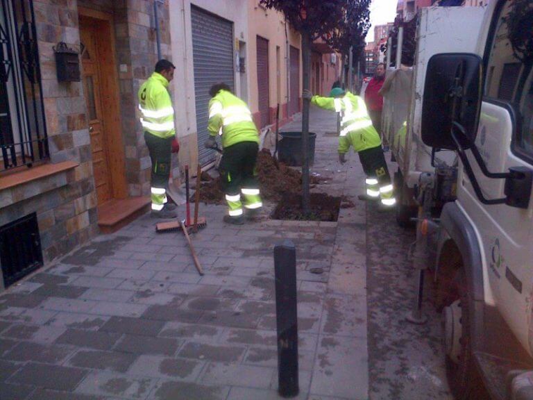 Badalona engega la reposició de més d’un centenar d’arbres