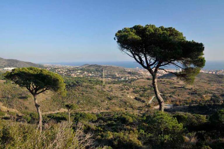 Badalona activa les mesures per prevenir els incendis forestals