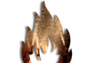 cartell festes maig.png