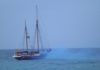 DSCF0051.JPG