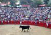 Foto 20-6-15 20 20 23.jpg