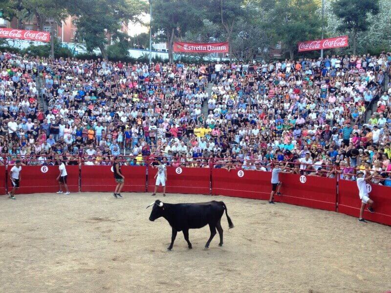 suelta vaquillas.jpg
