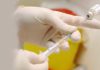 vacuna-leishmania-vidavet.jpg