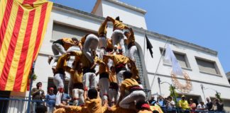 catellers premia 2015.jpg