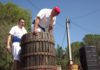 DSCF5519.JPG