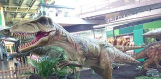 dinos.jpg