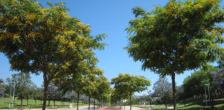 parcmontigala.jpg