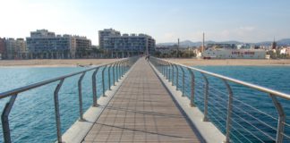 Pont del Petroli_1.JPG