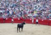Foto 20-6-15 20 20 09.jpg