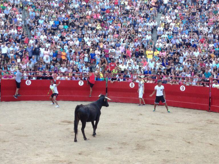 Llefià no tornarà a celebrar la polèmica ‘suelta de vaquillas’