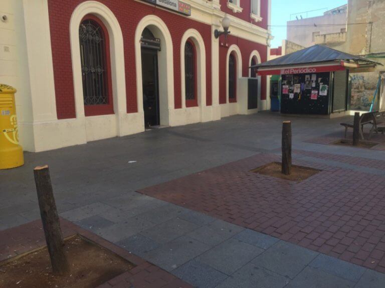 L’Ajuntament tala arbres malalts al Centre i al barri de Llefià