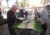 DSCF1739.JPG