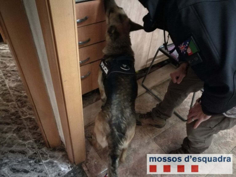 Els Mossos tanquen un punt de venda de droga a tres pisos de Sant Roc
