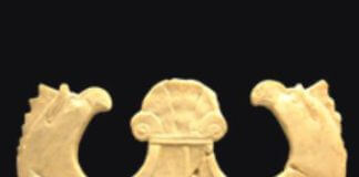 OSCILLUM_PETIT.jpg