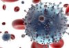 VENEZUELA--Una-mol-cula-despierta-al-virus-del-sida-de-sus---8216-santuarios--8217--para-poder-matarlo.jpg