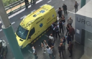 can ruti gitanos.jpg