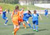DSC_0136 copia.JPG