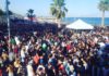 sonar 2.jpg
