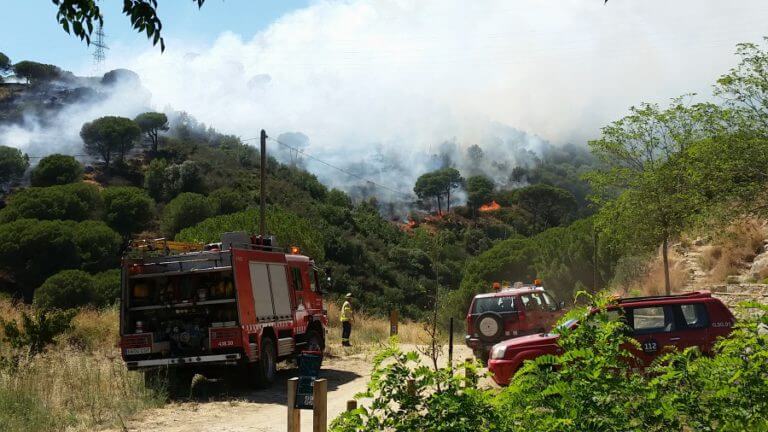 Un incendi forestal crema más de sis hectàrees a l’entorn de Can Ruti
