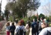 Jugateca ambiental 3.jpg