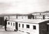Pomar 50 anys 1.JPG