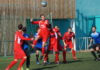 DSC08747.JPG