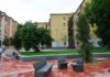 DSC_0529.JPG