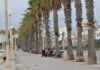 Paseo.jpg