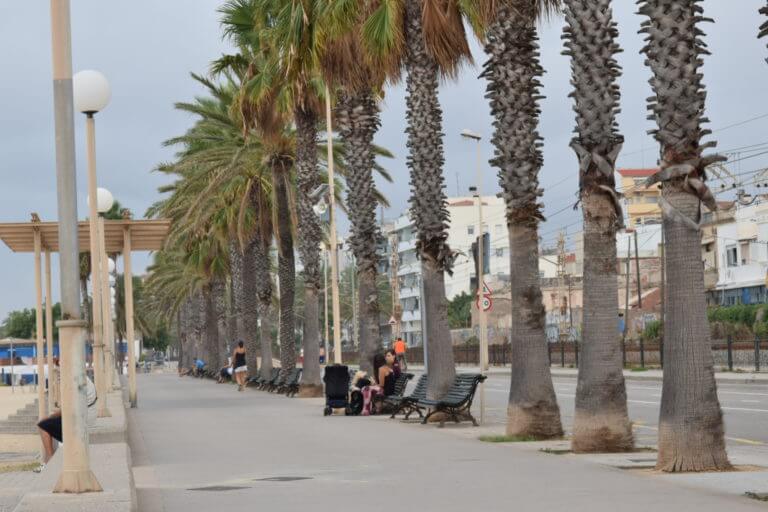 El PP demana bonificacions de l’IBI als comerciants afectats per les restriccions d’aparcament del Passeig Marítim