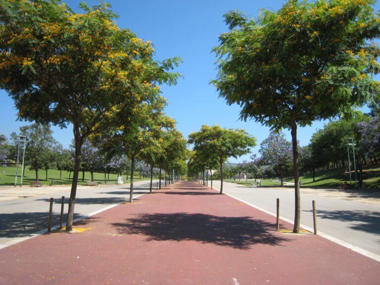 Nou contracte de manteniment per 125.000m2 de zones verdes