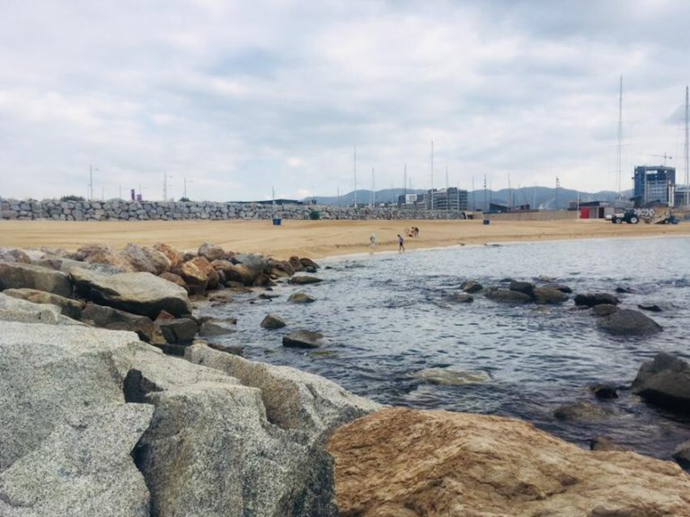 La platja de la Marina, tancada durant les nits