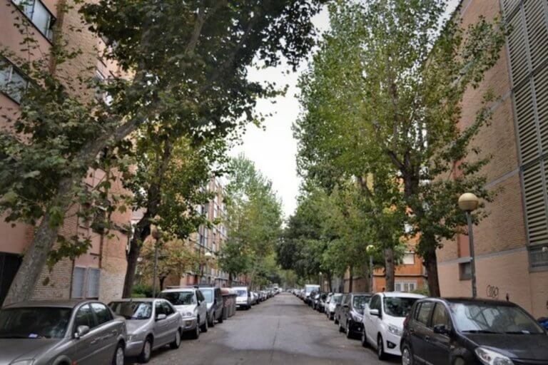 Badalona inicia una campanya extraordinària de fumigacions en 4.500 arbres de la ciutat
