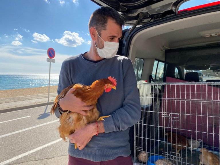 Desarticulada una banda que sacrificava animals i els utilitzava per a rituals satànics