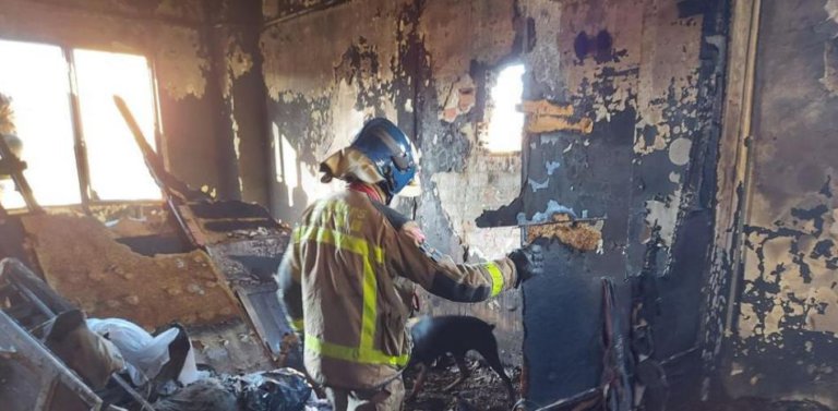Els Bombers es retiren de la nau cremada sense trobar més cadàvers