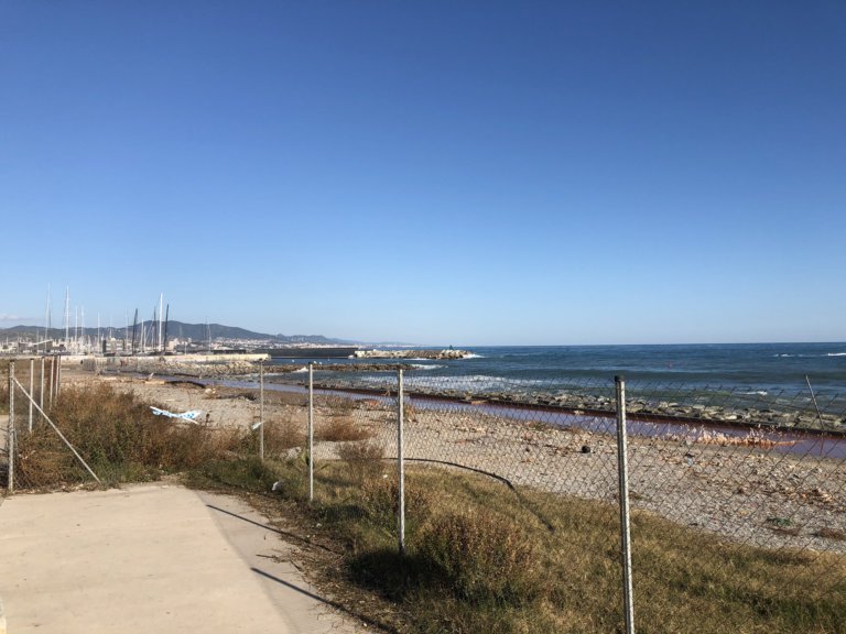 L’AV de la Mora denuncia l’estat del Passeig